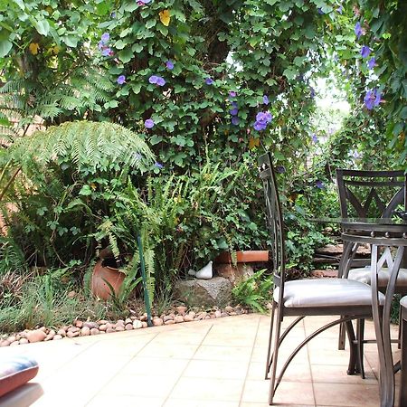 Cherry Tree Cottage B&B Linden Johannesburg Zewnętrze zdjęcie