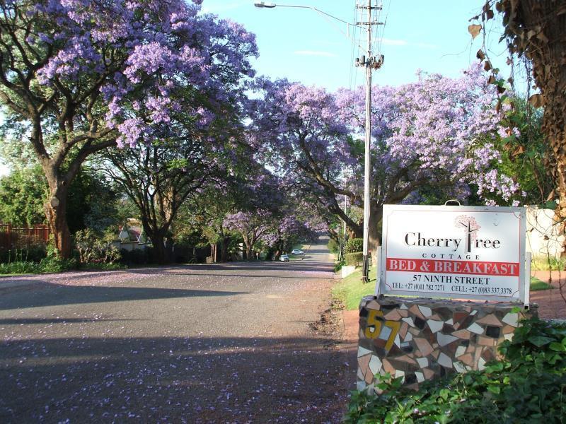 Cherry Tree Cottage B&B Linden Johannesburg Zewnętrze zdjęcie