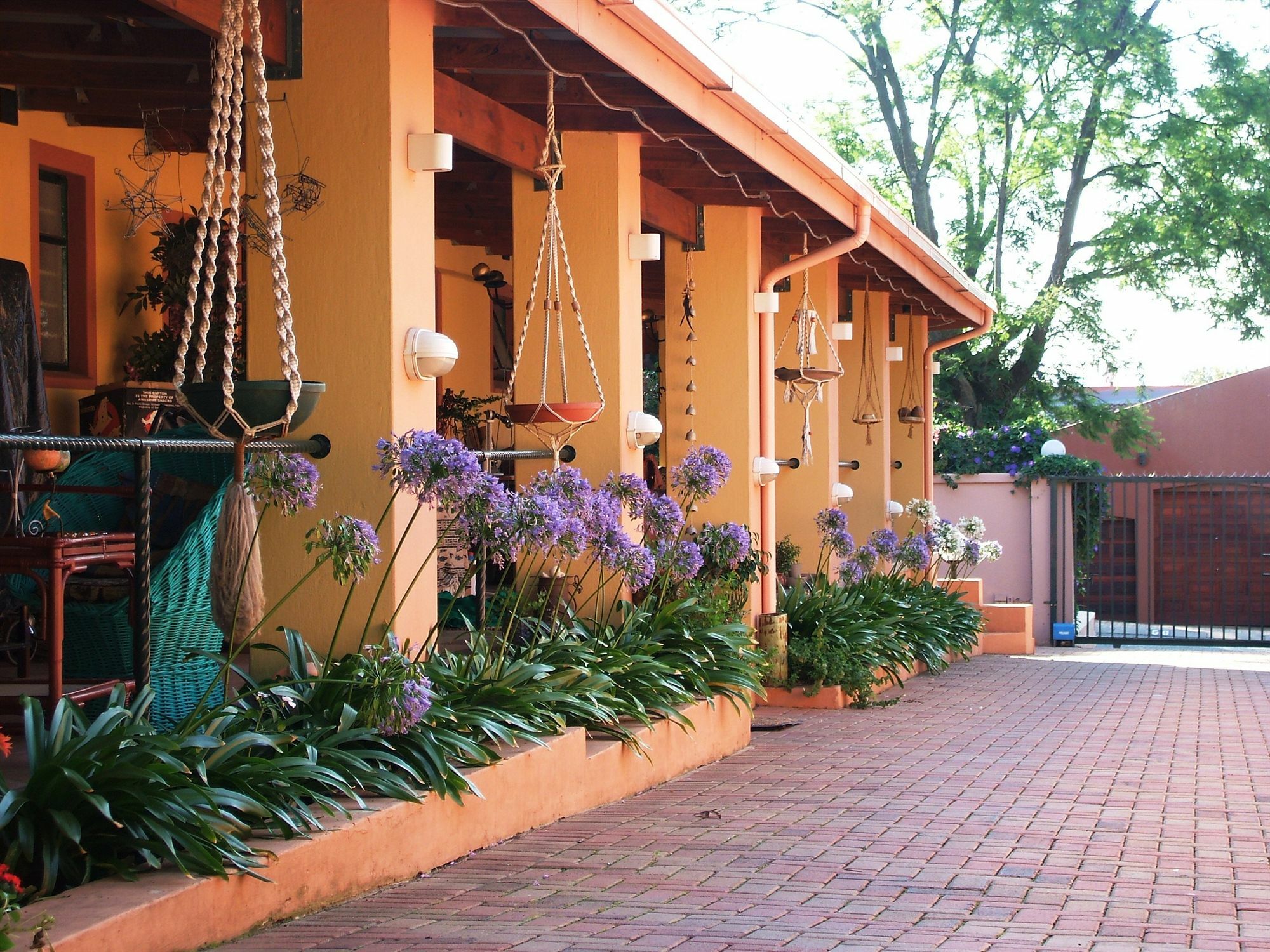 Cherry Tree Cottage B&B Linden Johannesburg Zewnętrze zdjęcie